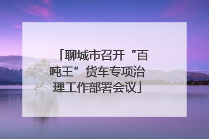 聊城市召开“百吨王”货车专项治理工作部署会议