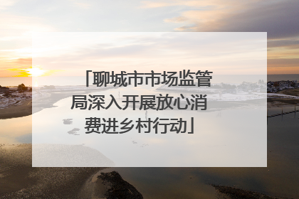 聊城市市场监管局深入开展放心消费进乡村行动