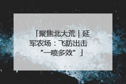 聚焦北大荒｜延军农场：飞防出击 “一喷多效”