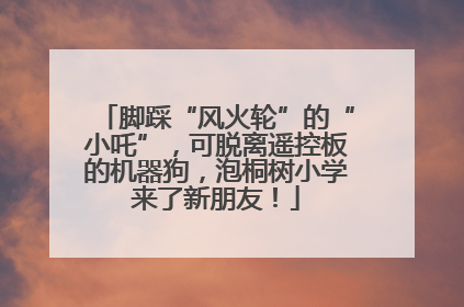 脚踩“风火轮”的“小吒”，可脱离遥控板的机器狗，泡桐树小学来了新朋友！