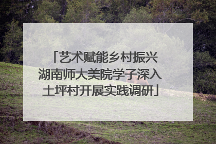 艺术赋能乡村振兴 湖南师大美院学子深入土坪村开展实践调研