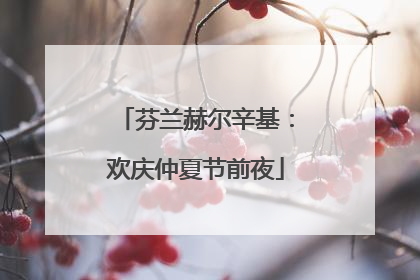 芬兰赫尔辛基：欢庆仲夏节前夜