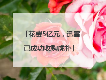 花费5亿元，迅雷已成功收购虎扑