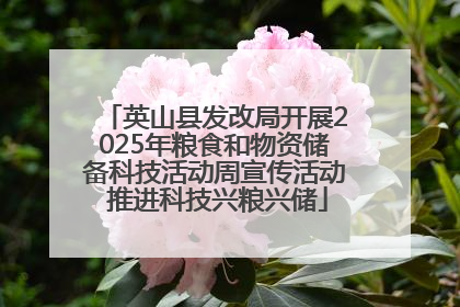 英山县发改局开展2025年粮食和物资储备科技活动周宣传活动 推进科技兴粮兴储