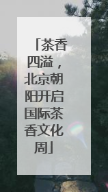 茶香四溢，北京朝阳开启国际茶香文化周
