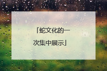蛇文化的一次集中展示