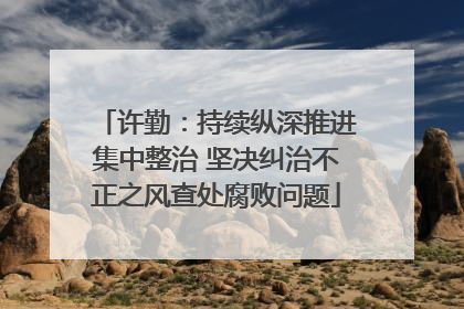 许勤：持续纵深推进集中整治 坚决纠治不正之风查处腐败问题