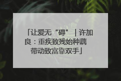 让爱无“碍”｜许加良：重疾致残始种藕 带动致富靠双手