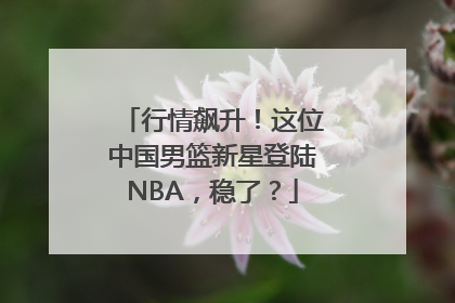 行情飙升！这位中国男篮新星登陆NBA，稳了？