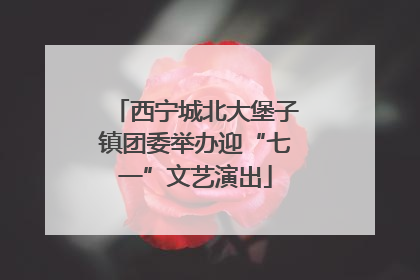 西宁城北大堡子镇团委举办迎“七一”文艺演出
