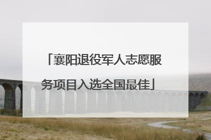 襄阳退役军人志愿服务项目入选全国最佳