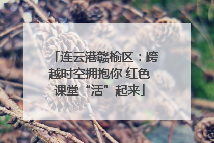 连云港赣榆区：跨越时空拥抱你 红色课堂“活”起来