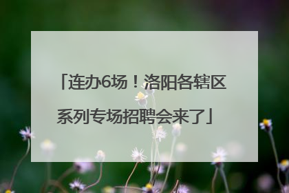 连办6场！洛阳各辖区系列专场招聘会来了