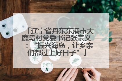 辽宁省丹东东港市大鹿岛村党委书记张宗义：“振兴海岛，让乡亲们都过上好日子”