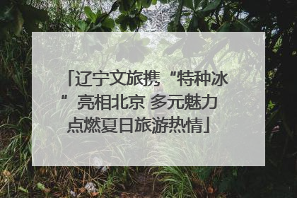 辽宁文旅携“特种冰”亮相北京 多元魅力点燃夏日旅游热情
