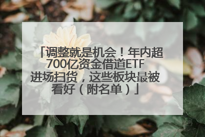 调整就是机会！年内超700亿资金借道ETF进场扫货，这些板块最被看好（附名单）