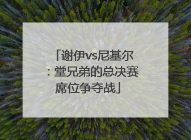 谢伊vs尼基尔：堂兄弟的总决赛席位争夺战