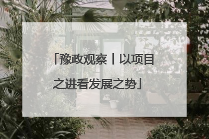 豫政观察丨以项目之进看发展之势