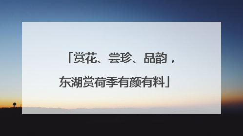 赏花、尝珍、品韵，东湖赏荷季有颜有料