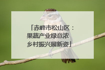 赤峰市松山区：果蔬产业绿意浓 乡村振兴展新姿