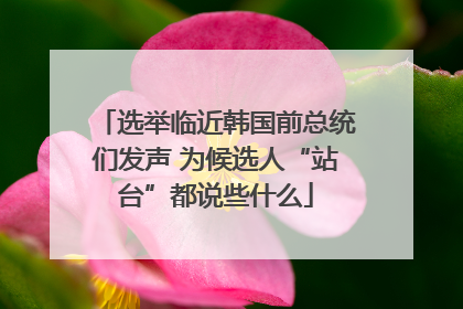 选举临近韩国前总统们发声 为候选人“站台”都说些什么