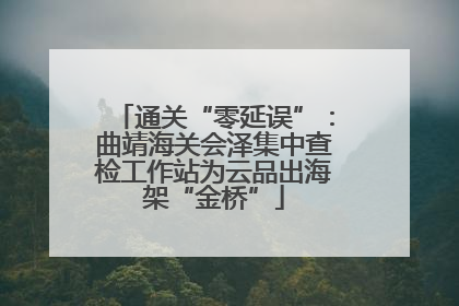 通关“零延误”：曲靖海关会泽集中查检工作站为云品出海架“金桥”