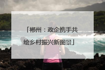 郴州：政企携手共绘乡村振兴新图景