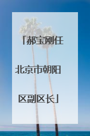 郝宝刚任北京市朝阳区副区长