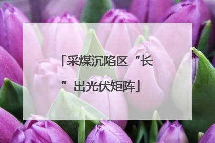采煤沉陷区“长”出光伏矩阵