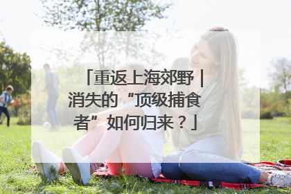 重返上海郊野｜消失的“顶级捕食者”如何归来？
