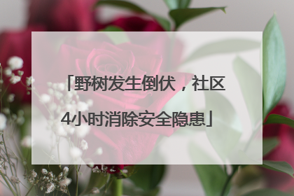 野树发生倒伏，社区4小时消除安全隐患