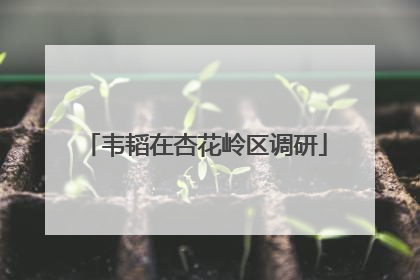 韦韬在杏花岭区调研