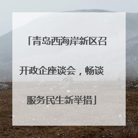 青岛西海岸新区召开政企座谈会，畅谈服务民生新举措