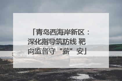 青岛西海岸新区：深化指导筑防线 靶向监督守“薪”安