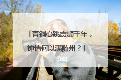 青铜心跳震颤千年，钟情何以满随州？