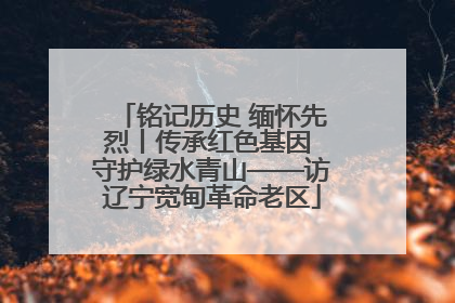 铭记历史 缅怀先烈丨传承红色基因 守护绿水青山——访辽宁宽甸革命老区