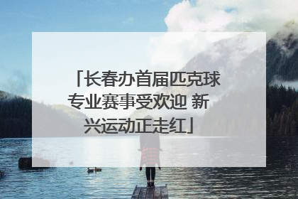 长春办首届匹克球专业赛事受欢迎 新兴运动正走红