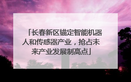 长春新区锚定智能机器人和传感器产业，抢占未来产业发展制高点