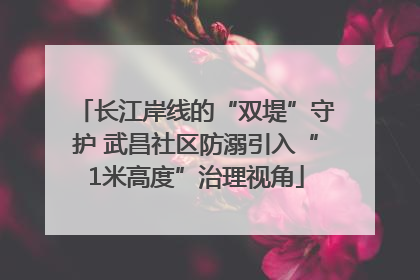 长江岸线的“双堤”守护 武昌社区防溺引入“1米高度”治理视角