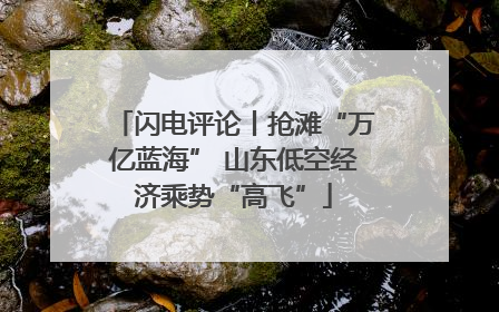 闪电评论丨抢滩“万亿蓝海” 山东低空经济乘势“高飞”