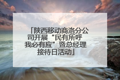 陕西移动商洛分公司开展“民有所呼 我必有应”暨总经理接待日活动