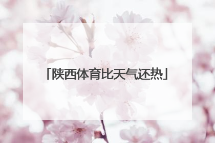 陕西体育比天气还热