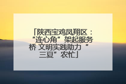 陕西宝鸡凤翔区：“连心角”架起服务桥 文明实践助力“三夏”农忙