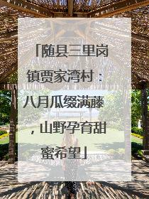 随县三里岗镇贾家湾村：八月瓜缀满藤，山野孕育甜蜜希望