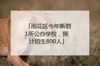 雨花区今年新增1所公办学校，预计招生800人