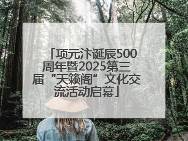项元汴诞辰500周年暨2025第三届“天籁阁”文化交流活动启幕