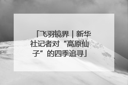 飞羽镜界｜新华社记者对“高原仙子”的四季追寻