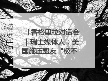 香格里拉对话会｜瑞士媒体人：美国施压盟友“极不理性” 欧洲国家无意与中国“脱钩断链”