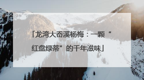 龙湾大岙溪杨梅：一颗“红盘绿蒂”的千年滋味