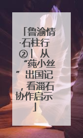 鲁渝情·石柱行② ︳从“莼小丝”出国记，看淄石协作启示